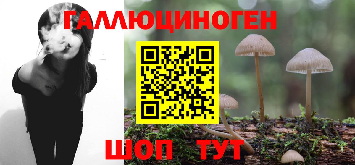 Псилоцибиновые грибы прущие грибы  Вход с VPN  Калуга 